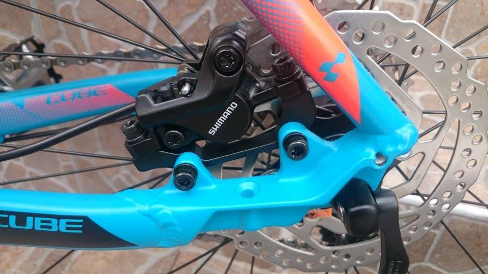 11116467_803416363073002_6274777757282094658_n